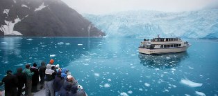 Take a whale watching cruise while in Alaska!