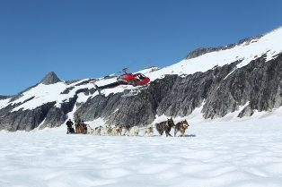 You might want to experience the dog sledding in Alaska