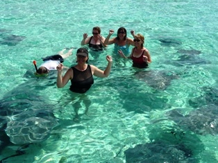 I love swimming with the stingrays but don't want to touch them