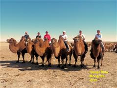 Camel riding in China anyone?