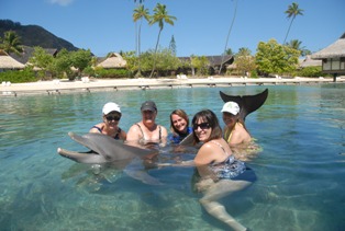 Swim with the dolphins in Moorea